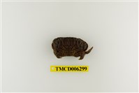 藏品(絨毛仿銀杏蟹)的圖片